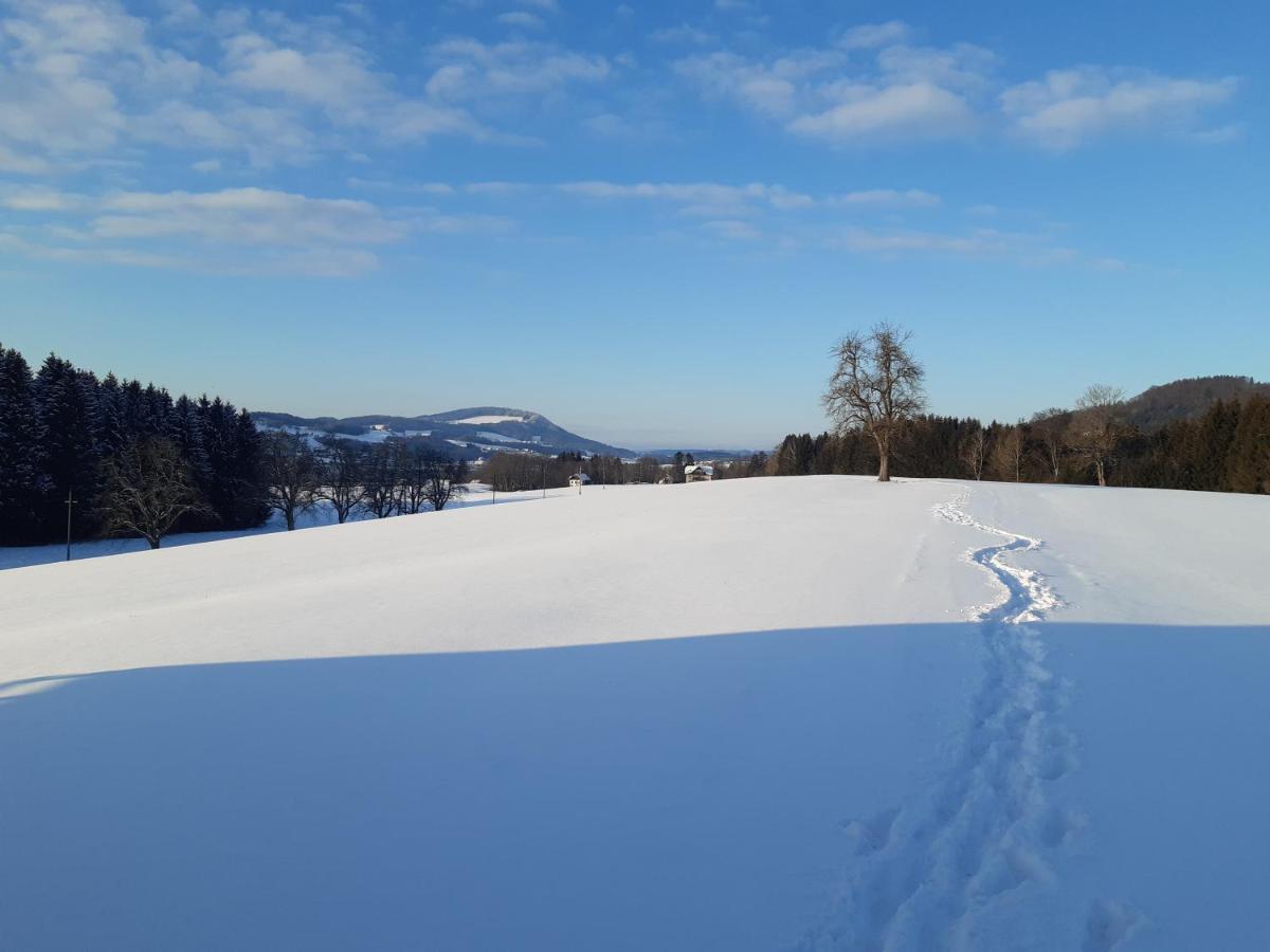Hideaway Leilighet Zell am Moos Eksteriør bilde