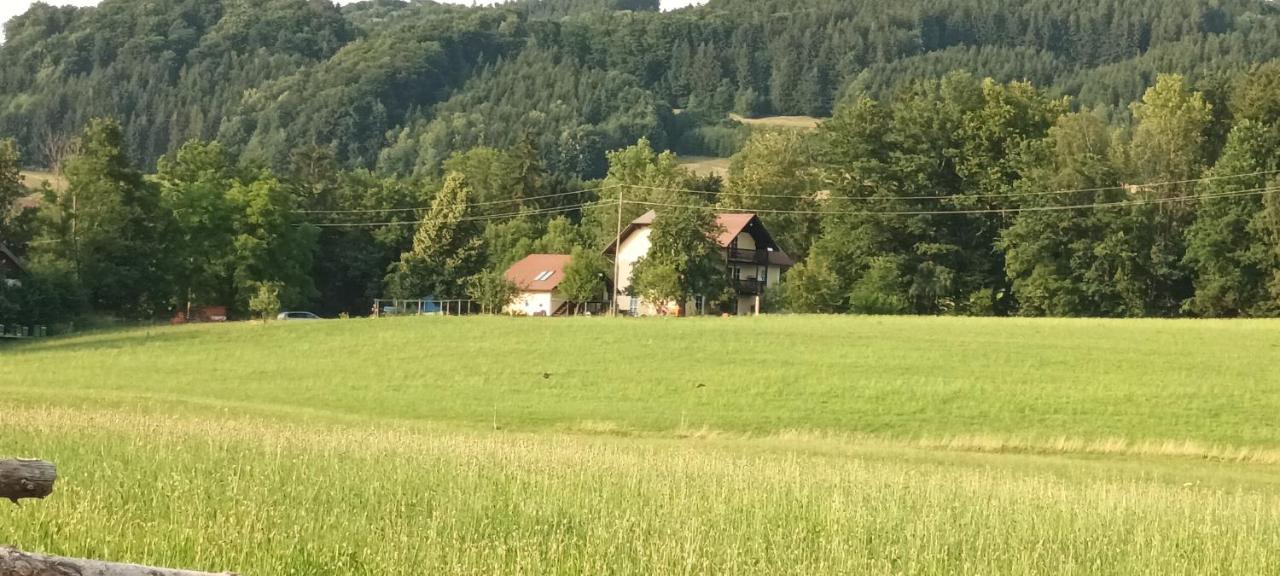 Hideaway Leilighet Zell am Moos Eksteriør bilde